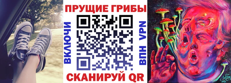 Псилоцибиновые грибы Magic Shrooms  Купить  Козельск 